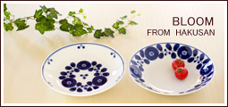 �������ᾦ�ʡ���ƫ��֥롼��ǥ��å���ץ졼��